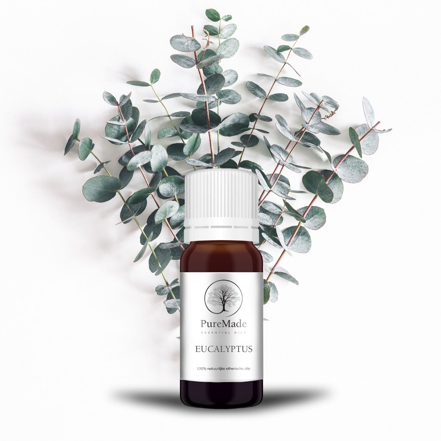 Eucalyptus etherische olie - 10ml