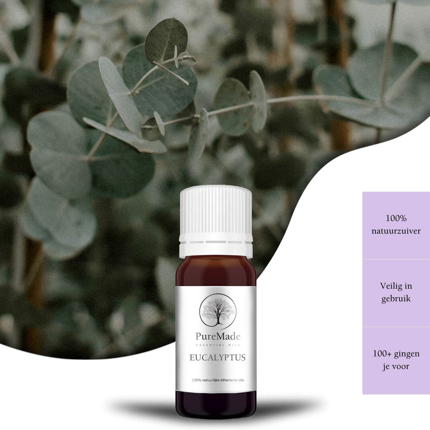 Eucalyptus etherische olie - 10ml